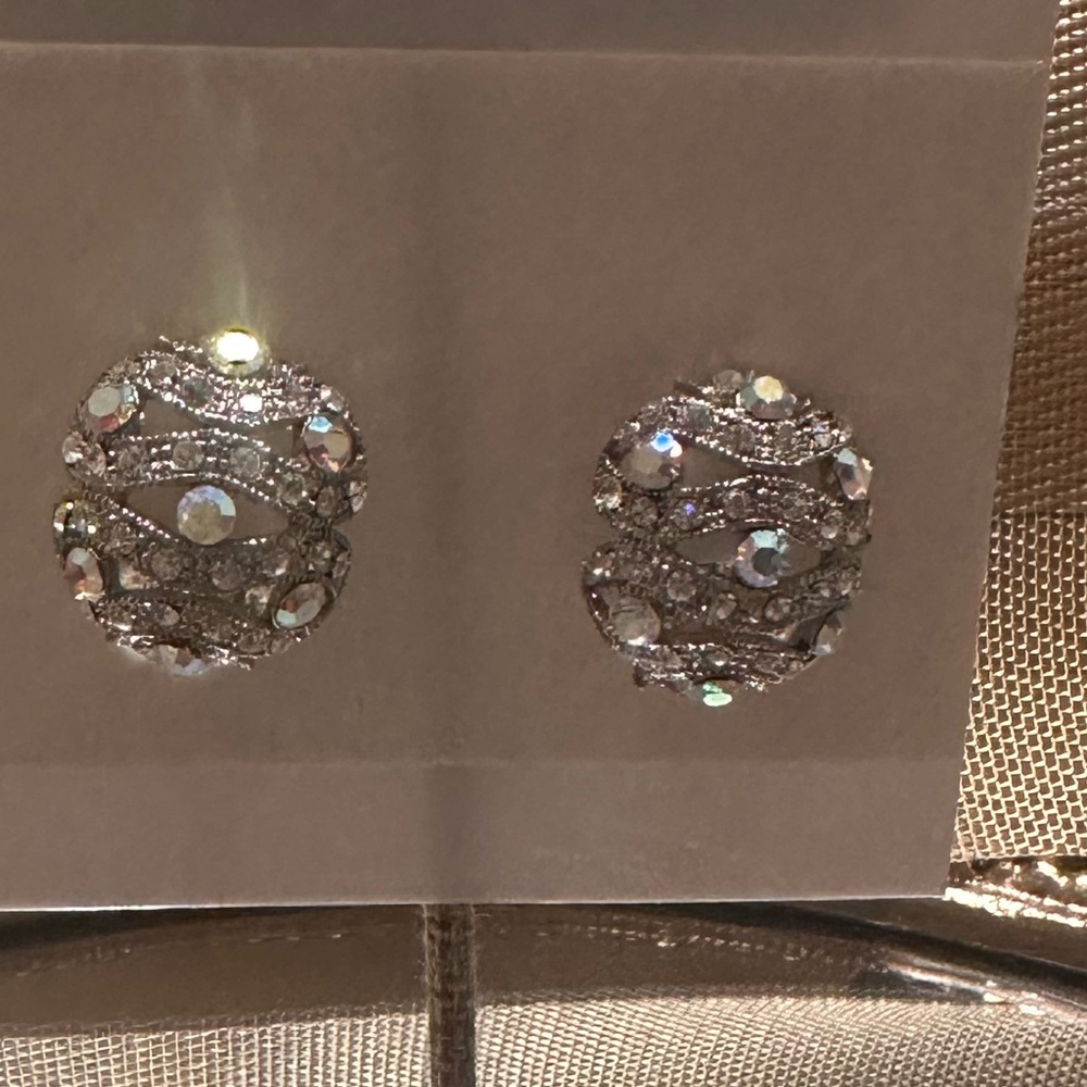Elegant Silver Clip Earrings